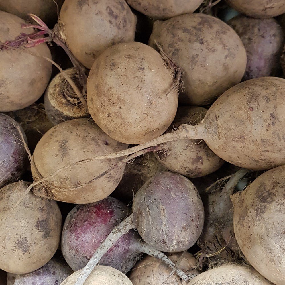 Beetroot Standard Organic