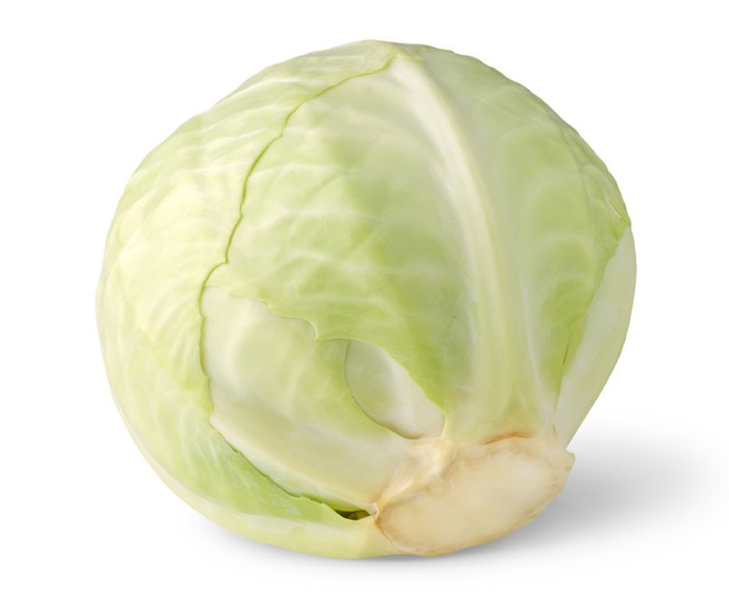 Cabbage White Organic - Earthfare Supermarket - 3012908