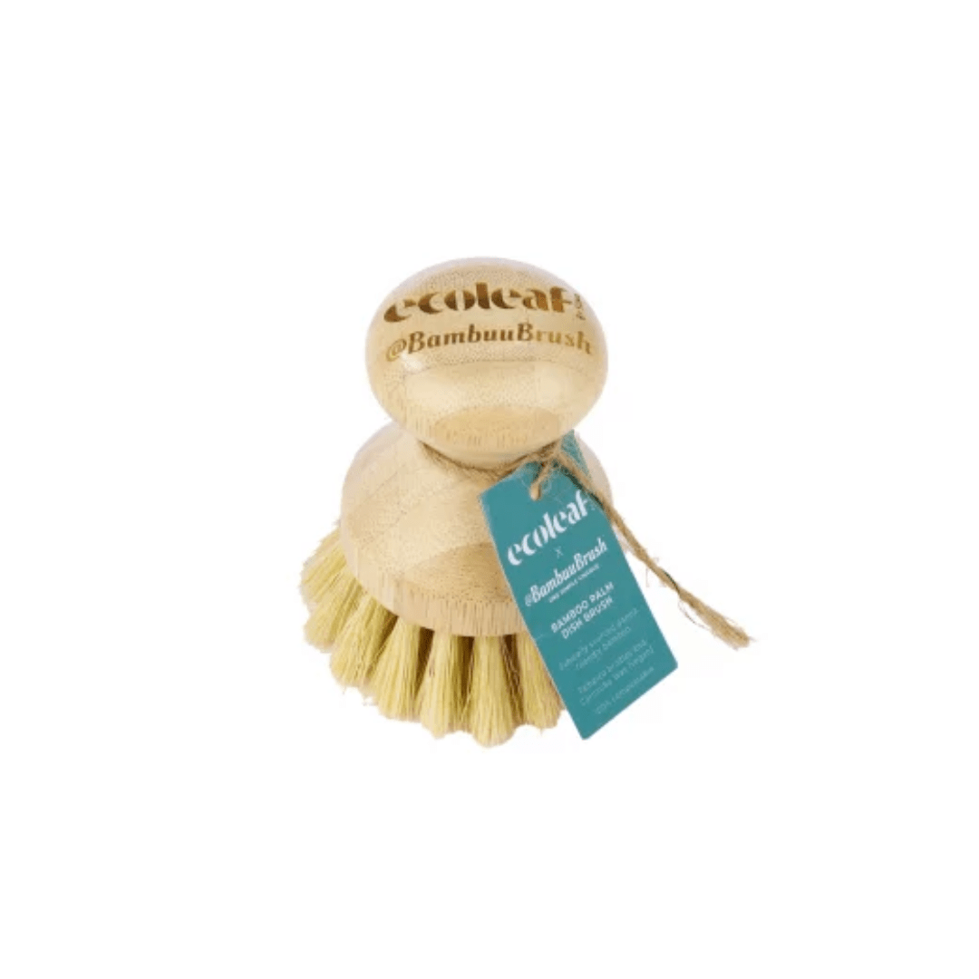 Ecoleaf Bamboo Palm Dish Brush - Earthfare Supermarket - 5017601052036