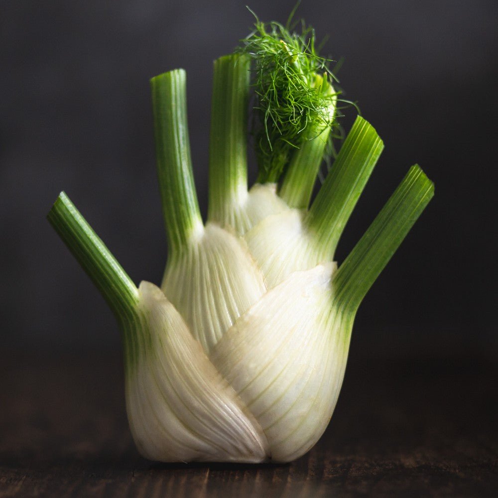 Fennel Organic - Earthfare Supermarket - 3012937