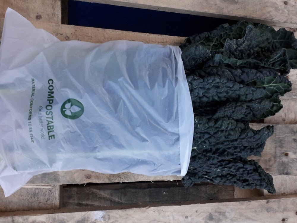 Kale Cavolo Nero Organic - Earthfare Supermarket - 5060083953377