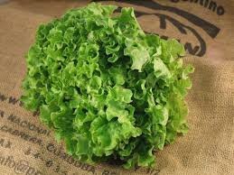 Lettuce Batavia Green Organic - Earthfare Supermarket - 7654321218991