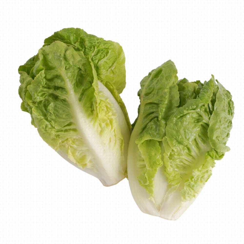 Lettuce Little Gem Organic - Earthfare Supermarket - 5016143004022
