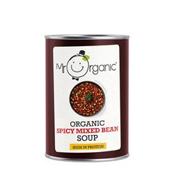 Mr Organic Spicy Mixed Bean Soup 400g - Earthfare Supermarket - 5060178074048