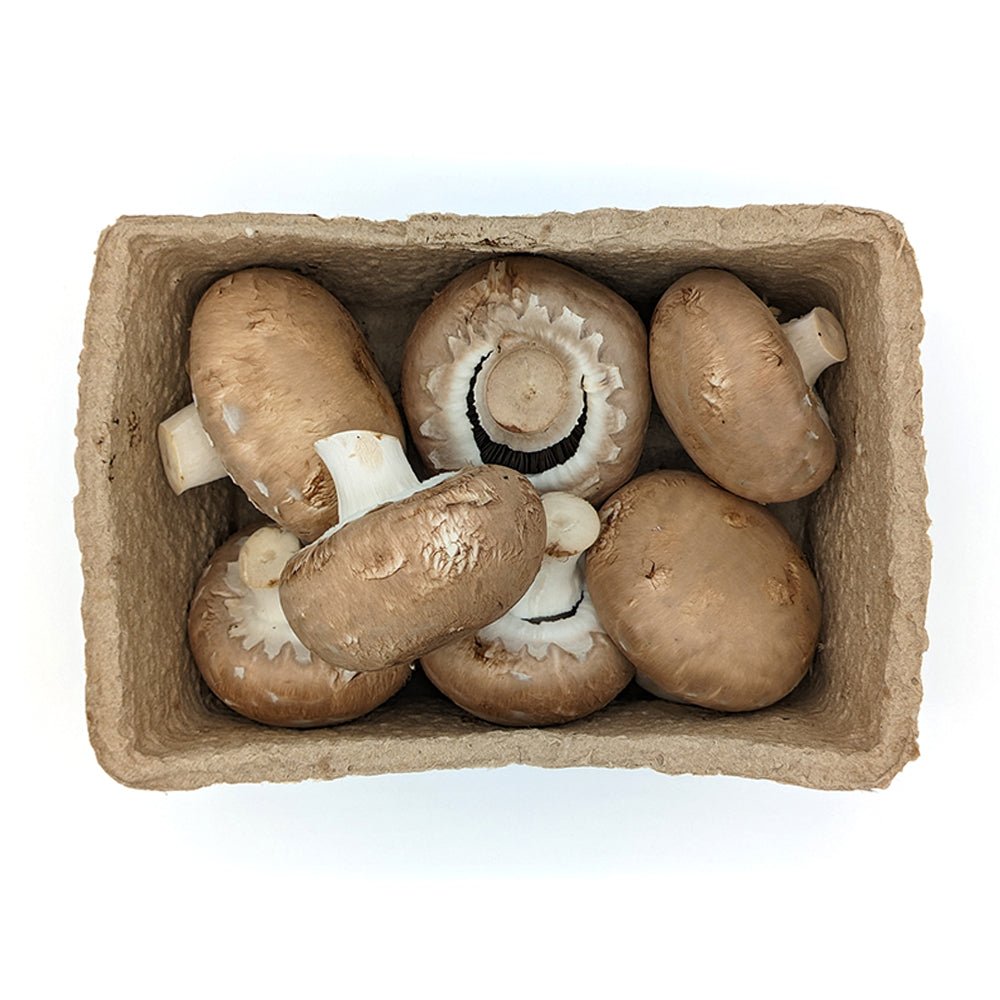 Mushroom Chestnut Organic Punnet - Earthfare Supermarket - 5060015561472