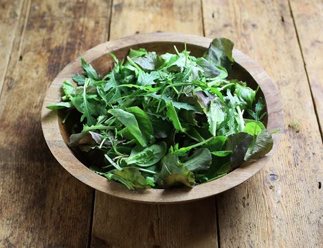 Peppery Salad Mix Organic - Earthfare Supermarket - 5060396520082
