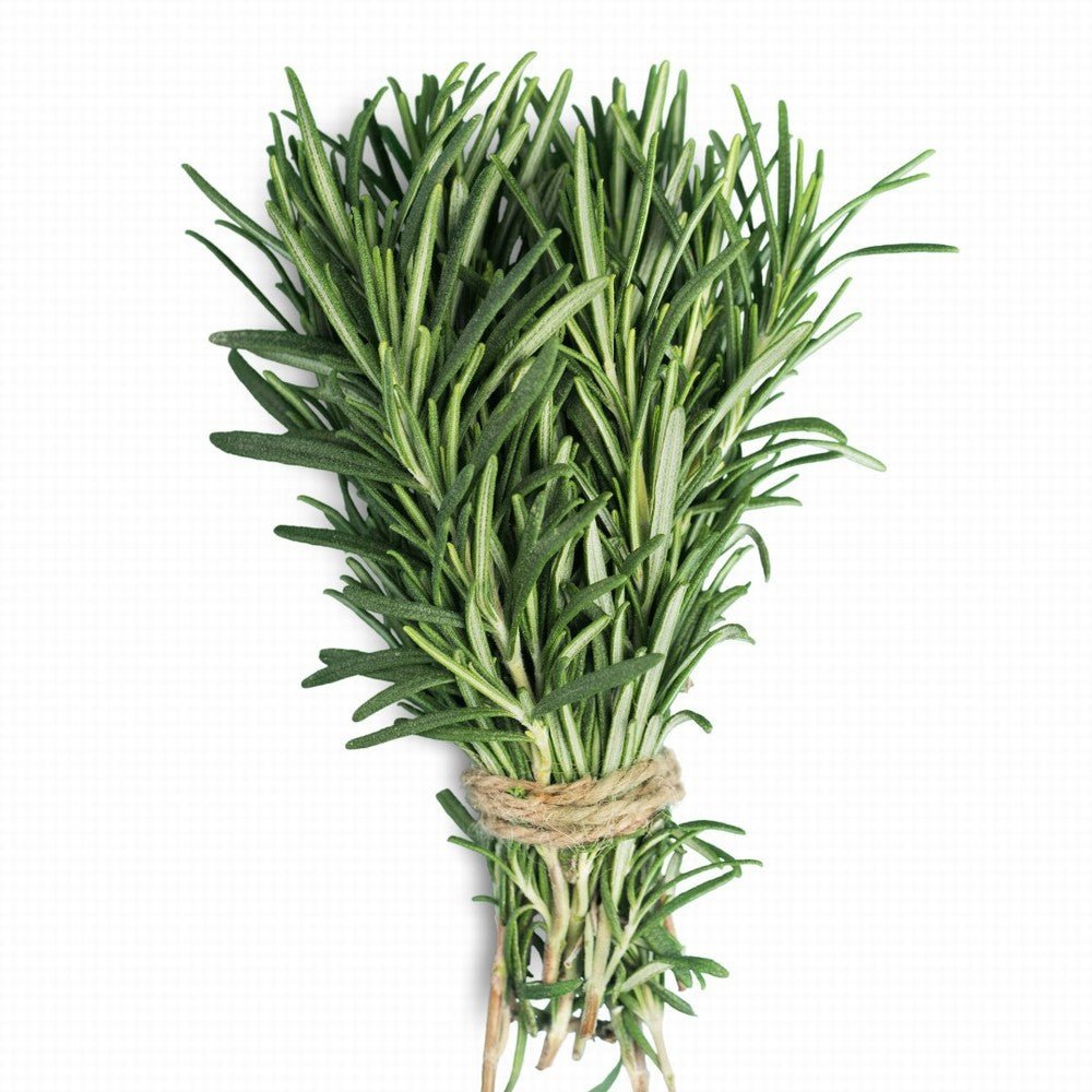 Rosemary Organic 20G - Earthfare Supermarket - 7654321219707