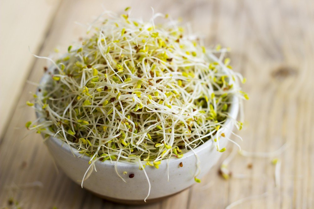 Sky Sprouts Organic Sprouted Alfalfa - Earthfare Supermarket - 5060031140026