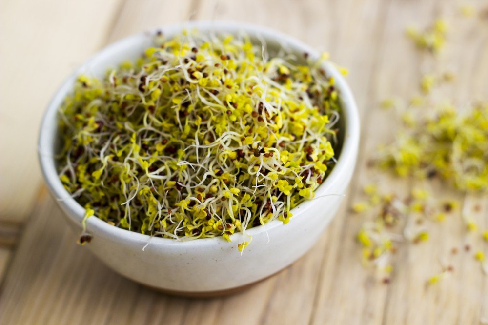 Sky Sprouts Organic Sprouted Broccoli - Earthfare Supermarket - 5060031140125