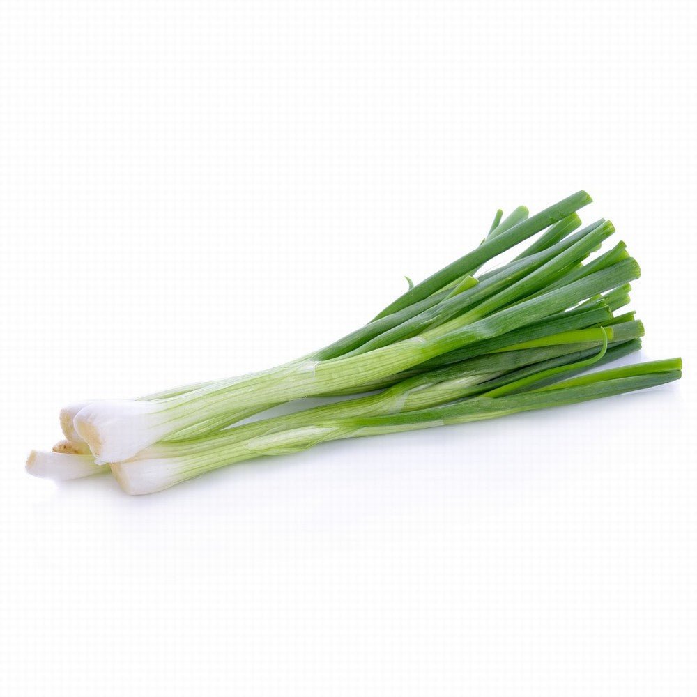 Spring Onions Organic - Earthfare Supermarket - 7654321219417