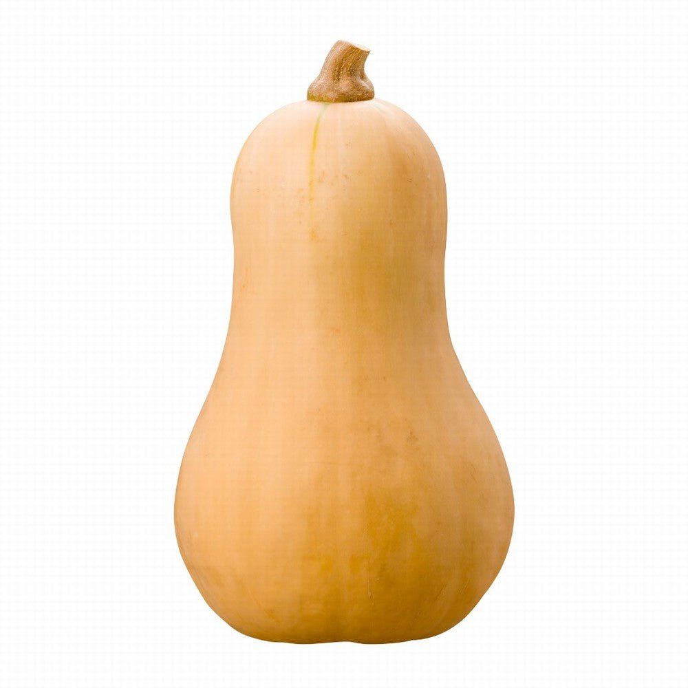Squash Butternut Organic - Earthfare Supermarket - 3013034
