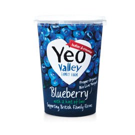 Yeo Valley Organic Blueberry Yogurt - Earthfare Supermarket - 5036589202929